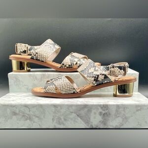 SAM EDELMAN Teena Sandals in a Snakeskin Print with Gold Block Heel. Size 6.5